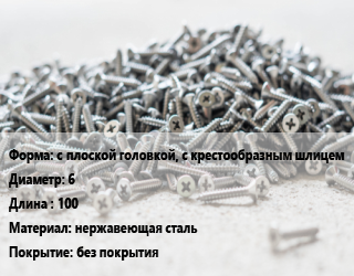 Шуруп с плоской головкой, с крестообразным шлицем 6х100 нержавеющая сталь без покрытия, упаковка 650 шт цена от 4.14 Тг / кг, где купить, условия доставки в Шымкенте и Южно-Казахстанской области